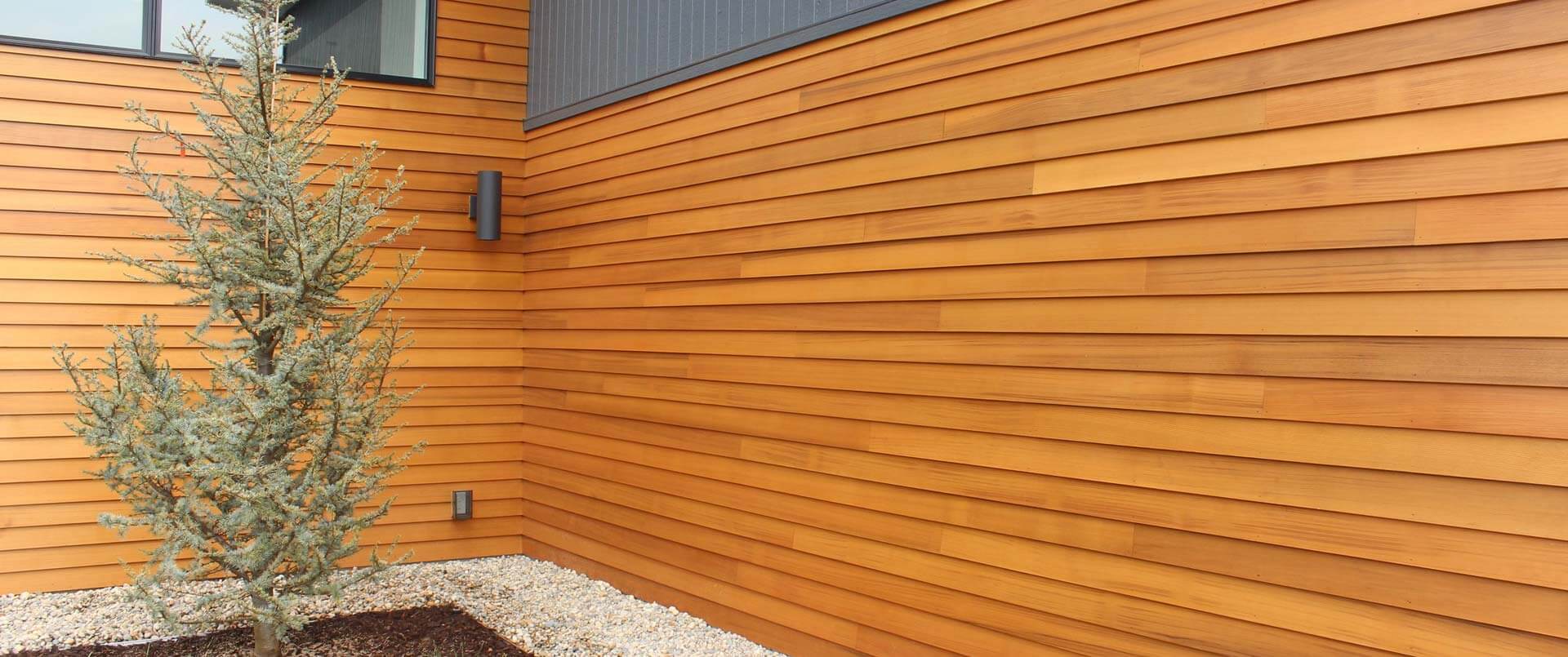 Cedar Siding